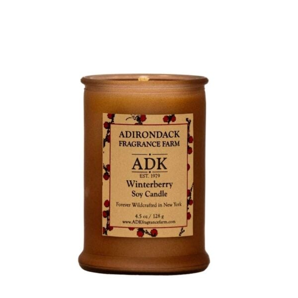WinterBerry Candle 4.5oz