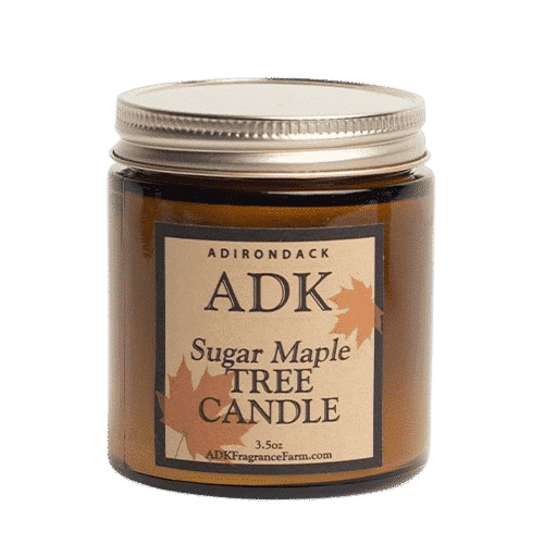 Maple Tree Candle