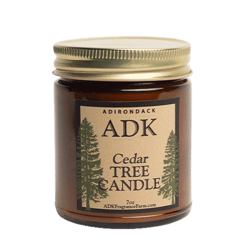Cedar Tree Candle