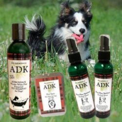 Pet Care Products with CBD