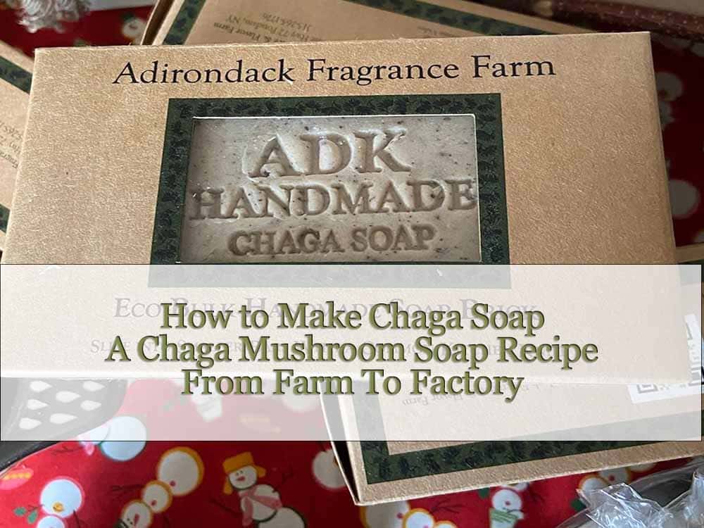 How to make Chaga Soap | Chaga Mushroom Soap