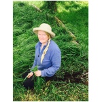 Sandy Maine Sweetgrass Harvest
