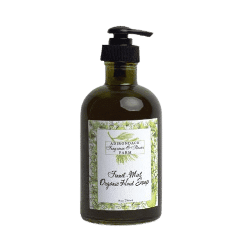 Fennel Hand Soap47451 nobg