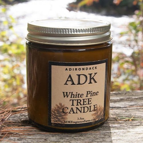 White Pine hand-poured soy candle with hemp wick made in the Adirondacks