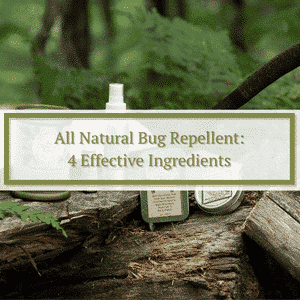 Natural Bug Repellent: Four Effective Ingredients